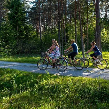 Treehouseestonia Деревянный коттедж *