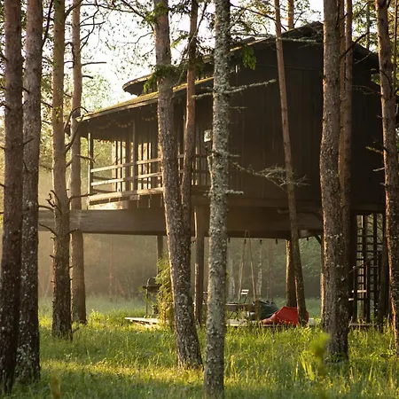 Treehouseestonia Jogisoo