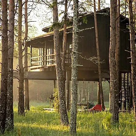 Treehouseestonia Jogisoo