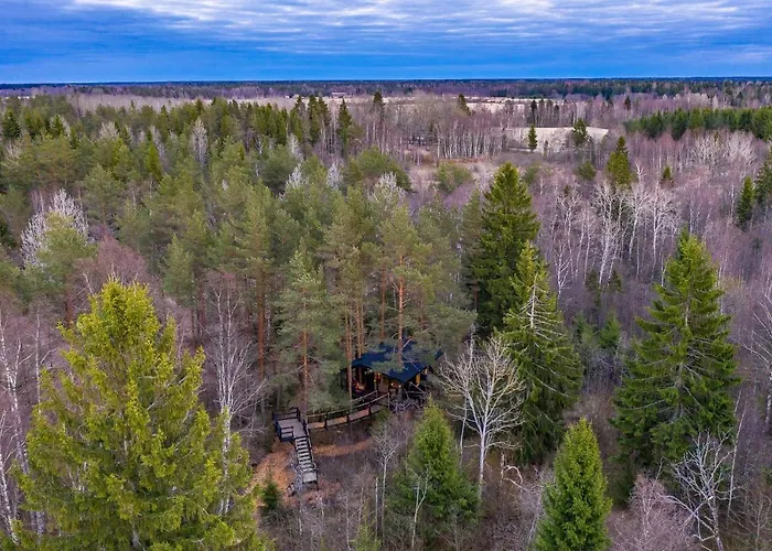 אכסניה Treehouseestonia