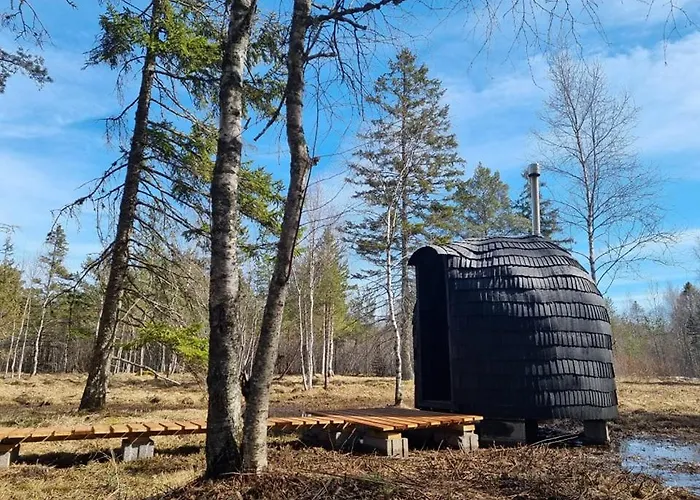 אכסניה Treehouseestonia Jogisoo