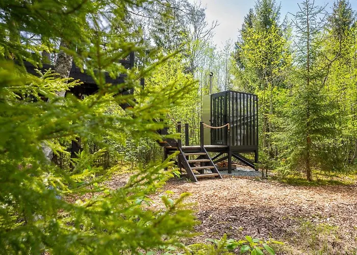 Treehouseestonia Jogisoo