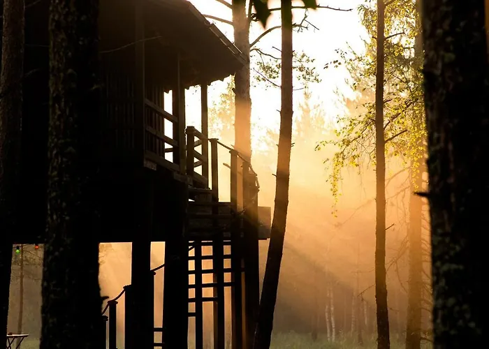 אכסניה Treehouseestonia